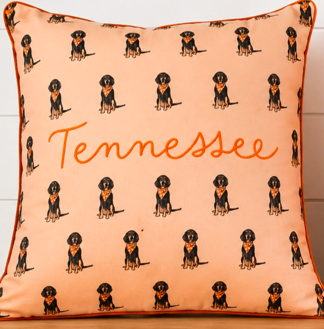 Tennessee Pillow Cover